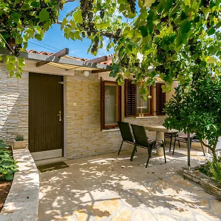 Elvira - - Mpolo Medulin