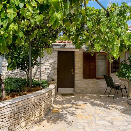 Apartman Elvira - - Mpolo